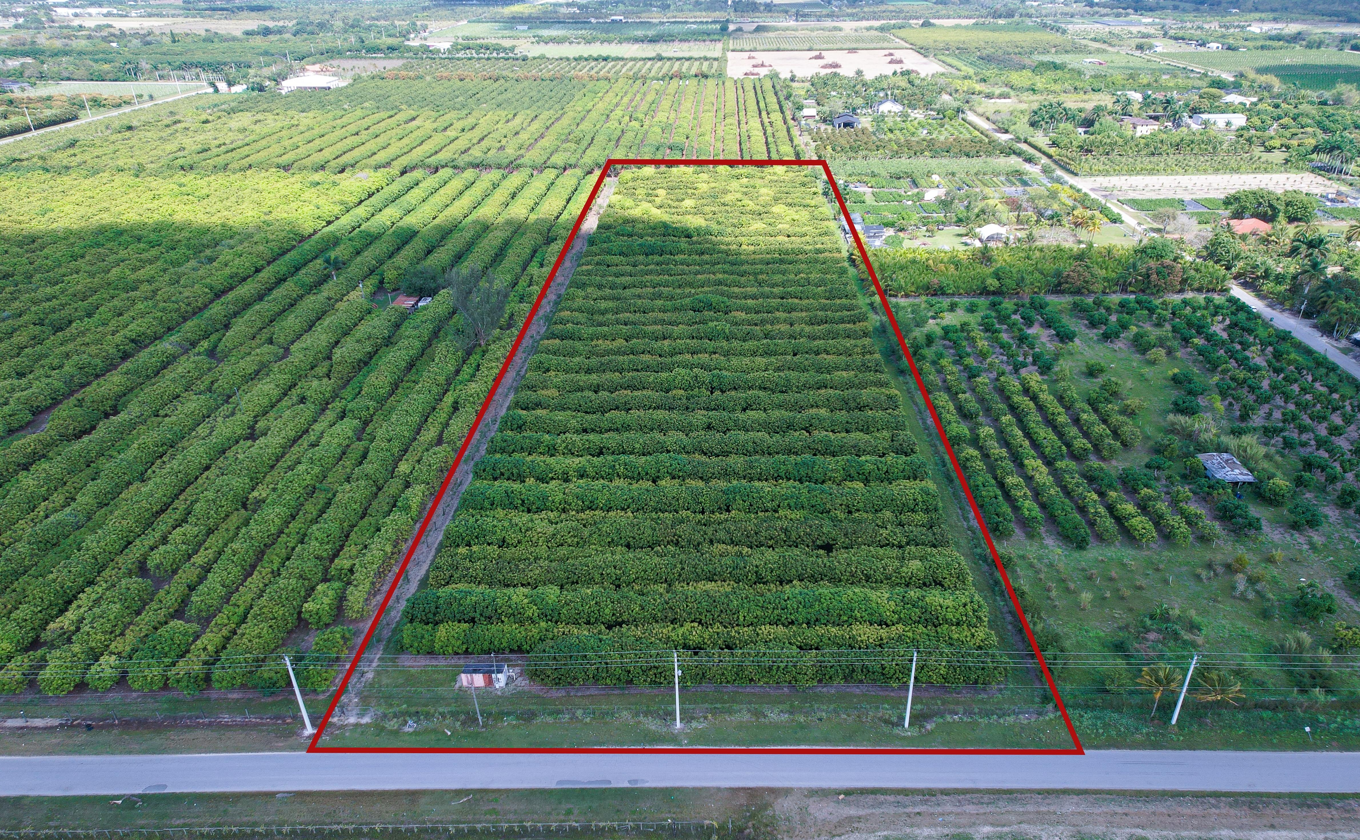 Agricultural Land For Sale Farmland For Sale Homestead, FL Miami, FL